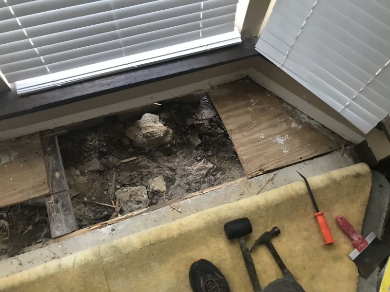Plywood Subfloor Repair in Wilmington, NC
